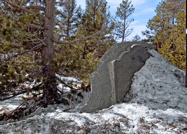 Old Emigrant Road Near Caples Lake, California