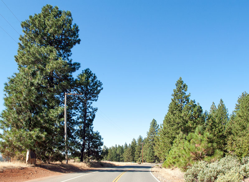 Amateur Astronomical Observatory Site Near Volcano, California