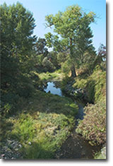Sutter Creek in Ione, California