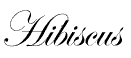 Hibiscus