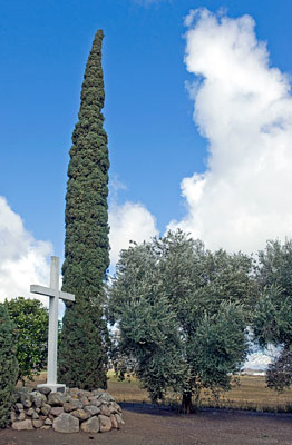 Grand Island Shrine in Colusa County, California