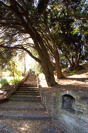 Alvarado Park in Richmond, California