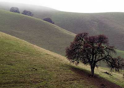Black Diamond Mines Regional Park in Contra Costa County, California