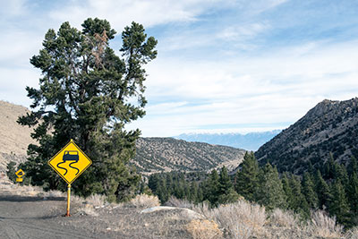 State Route 168 in the Inyo National Forest