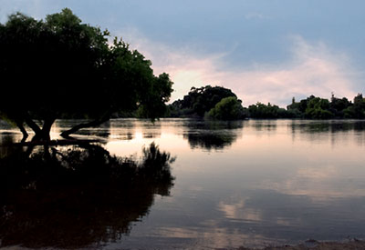 Kings River At Kingston Park, California