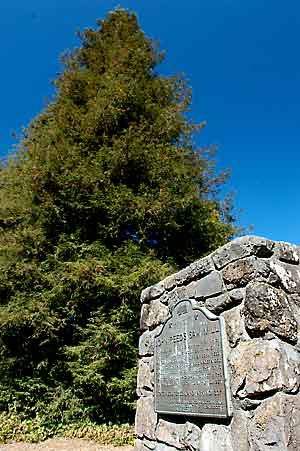 John Reed Saw Mill Commemorative Plaque