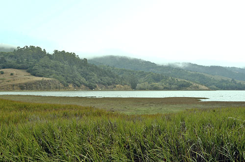 Site of the Lighter Wharf at Bolinas