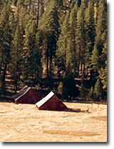 McCauley and Meyer Barns in Big Meadow