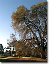Ukiah Latitude Observatory
