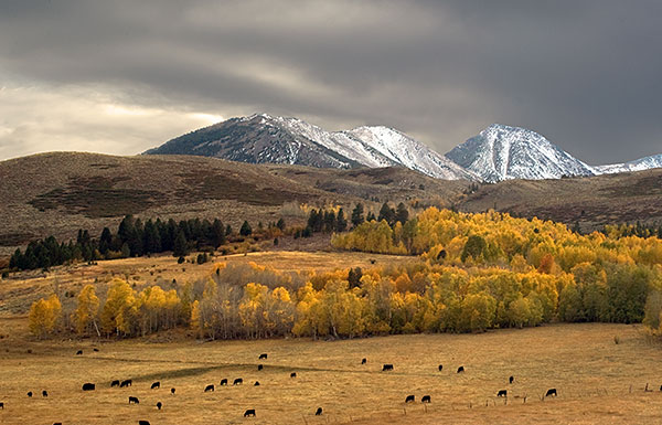 Highway 395 at Conway Summit in Mono County, California
