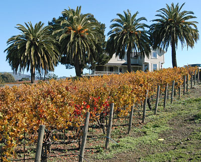 Kreuzer Ranch in Napa, California