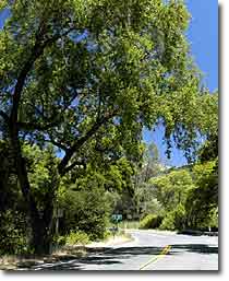 Pope Road at Lower Chiles Valley Road in Napa County, California