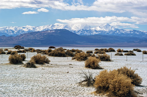 The scenic White Mountains, the highest mountain range in the Great Basin, provide the dramatic backdrop at Columbus.