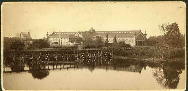 1878 Photograph of China Slough in Sacramento, California