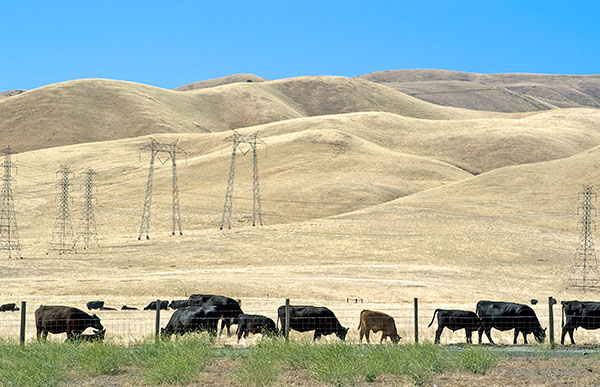 A Ranch at the Western Edge of the San Joaquin Valley