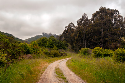 Burleigh Murray Park in San Mateo County