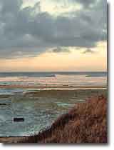 Mouth of San Gregorio Creek