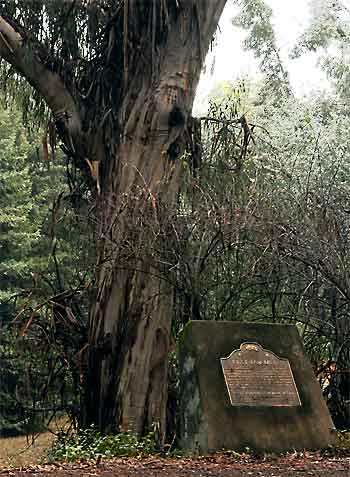 First Saw Mill Commemorative Plaque