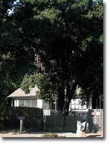 Miller-Melone Ranch Historic District