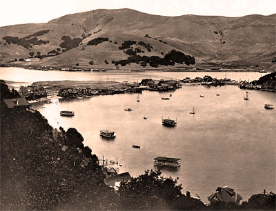 Arks in Belvedere Lagoon Near Sausalito c.1900