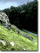 Glen Canyon, San Francisco. Photograph copyright &copy; 2004 by Alvis E Hendley.