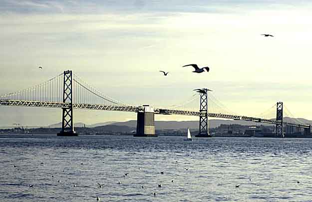 The Bay Bridge Viewed From Treasure Island