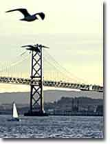 The Bay Bridge Viewed From Treasure Island
