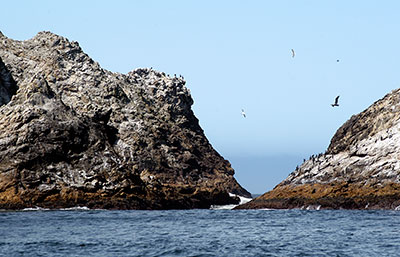 Farallones Federal Wildlife Refuge