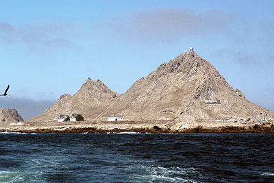 Farallones Marine Terrace