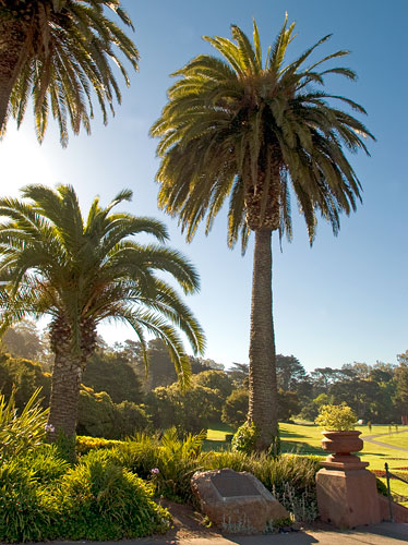 California Historical Landmark #841: Conservatory of Flowers