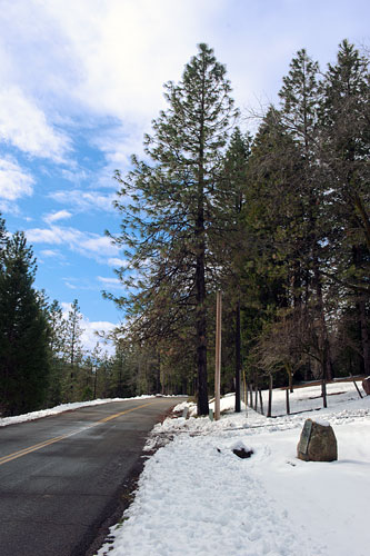 Mears Ridge Road Near Site of Southern Stage Station