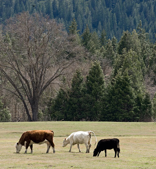 Scenic Route: Old Stage Road