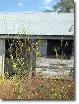 Hastings Adobe in Solano County, California