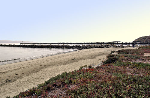 Bodega Bay