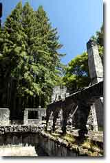 The+wolf+house+jack+london