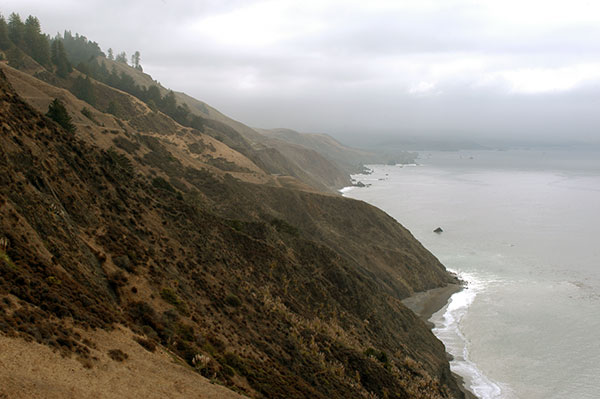Sonoma Coast