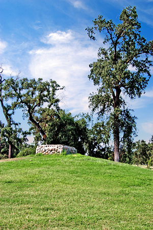 Remains Of The Pioneer In Visalia, California