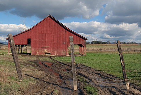 Highway 49 Near Montezuma