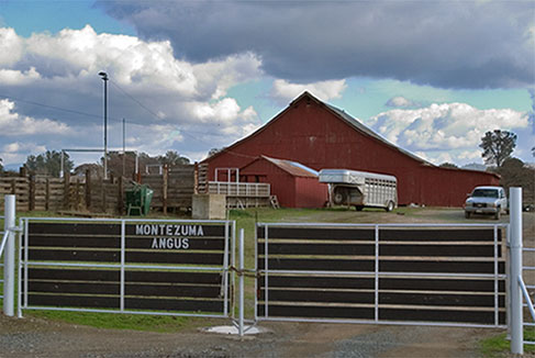 Highway 49 Near Montezuma