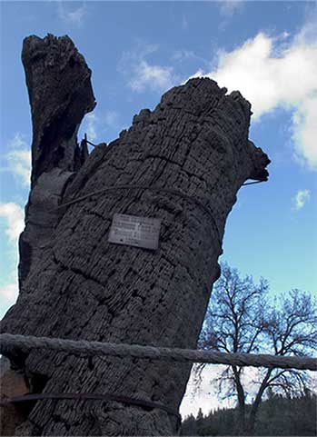 Second Garrote Near Groveland, California