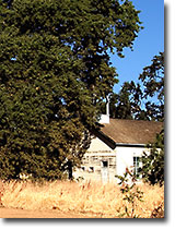 Canon School Near Brooks, California