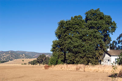 Canon School Near Brooks, California